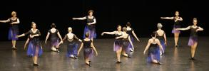 Gala de danse classique adultes 2026 